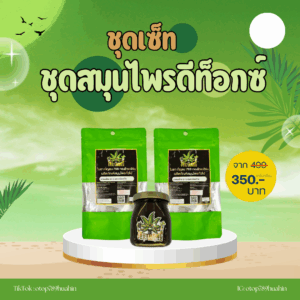 ชุดสมุนไพรดีท็อกซ์ ล้างสารพิษ